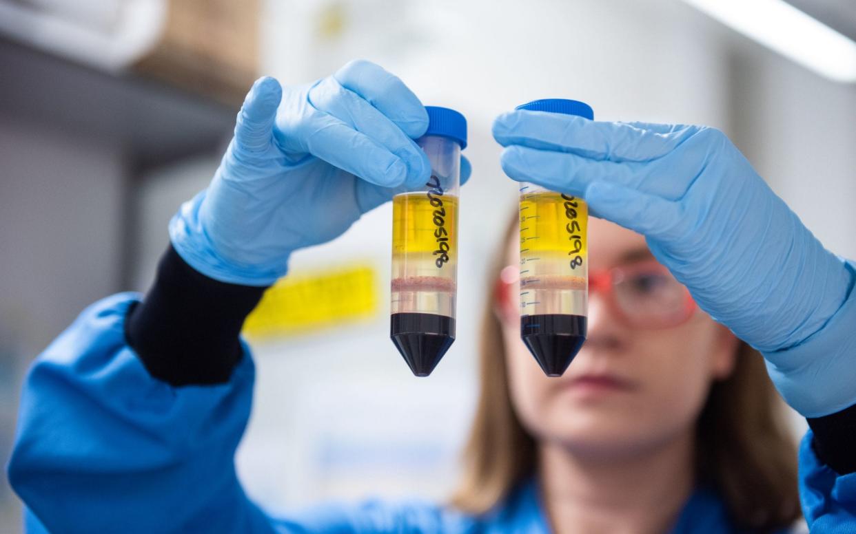 A researcher in a laboratory at the Jenner Institute working on the coronavirus vaccine developed by AstraZeneca and Oxford University - PA/John Cairns/University of Oxford