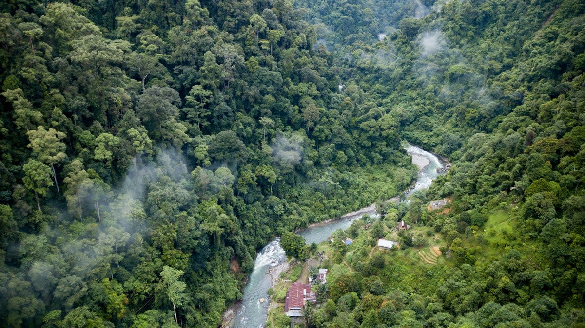 Gunung Leuser National Park is teeming with wildlife (Getty Images/iStockphoto)