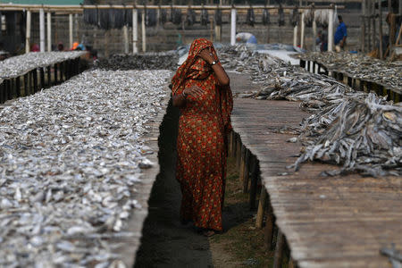 A Rohingya refugee woman walks through Nazirartek fish drying yard where she works, in Cox's Bazaar, Bangladesh, March 23, 2018. The woman, who does not want to be identified, escaped from Kutupalong refugee camp. REUTERS/Clodagh Kilcoyne