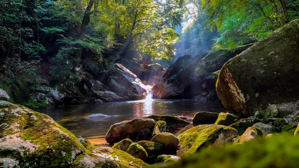 Morning sunbeams shine through the tree canopy on Raven Fork near Backcountry Camp 47 in the Great Smoky Mountains National Park.