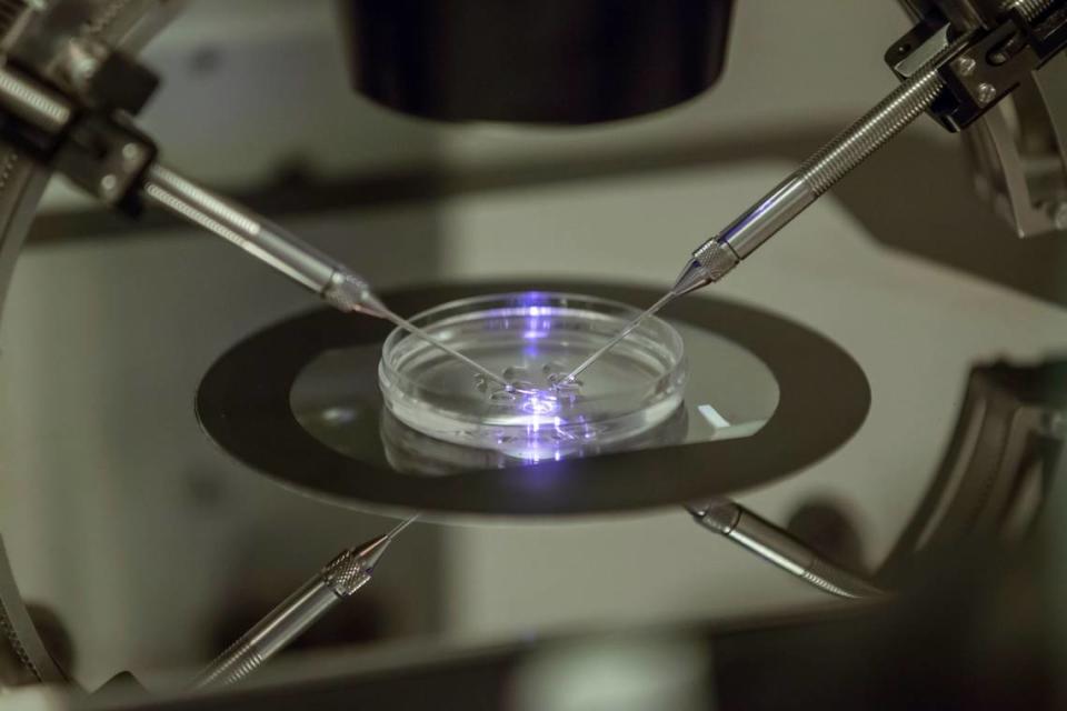 FILE - In this Aug. 14, 2013 file photo, an in vitro fertilization embryologist works on a petri dish at a fertility clinic in London. Tens of thousands of people undergo in vitro fertilization every year, but many don’t know how costly the process is until they’re facing the decision head-on. One IVF cycle costs more than $20,000, on average, and most patients go through multiple rounds before conceiving or moving on to other options. (AP Photo/Sang Tan, File) Sang Tan/AP