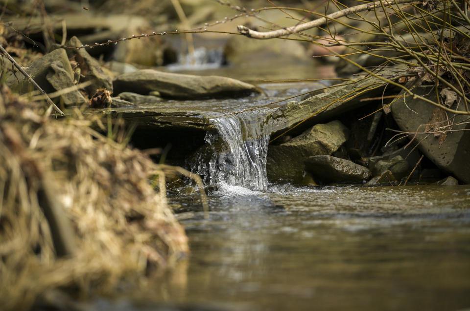 A creek flows along the 125-acre property owned by Joan and Harold Koster, Wednesday, March 13, 2024, in Whitney Point, N.Y., The Kosters were asked by Texas-based Southern Tier Energy Solutions to lease their land to extract natural gas by injecting carbon dioxide into the ground, which they rejected and are opposed to. (AP Photo/Heather Ainsworth)