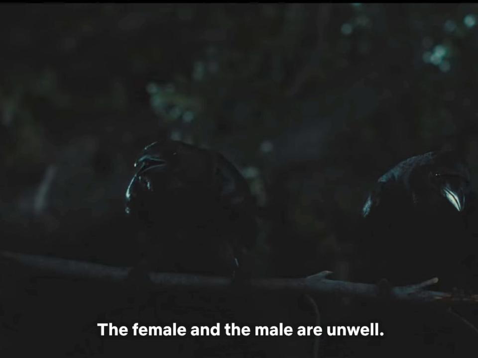 two crows sitting on a bench at nighttime in beef. the one on the left has its mouth open as if it's cawing, and the one on the right is looking downwards. subtitles read "the female and the male are unwell"
