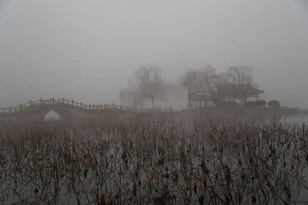 FILE PHOTO: Heavy smog is seen during a polluted day at the Daming Lake in Jinan, Shandong province, January 5, 2017. REUTERS/Stringer/File Photo