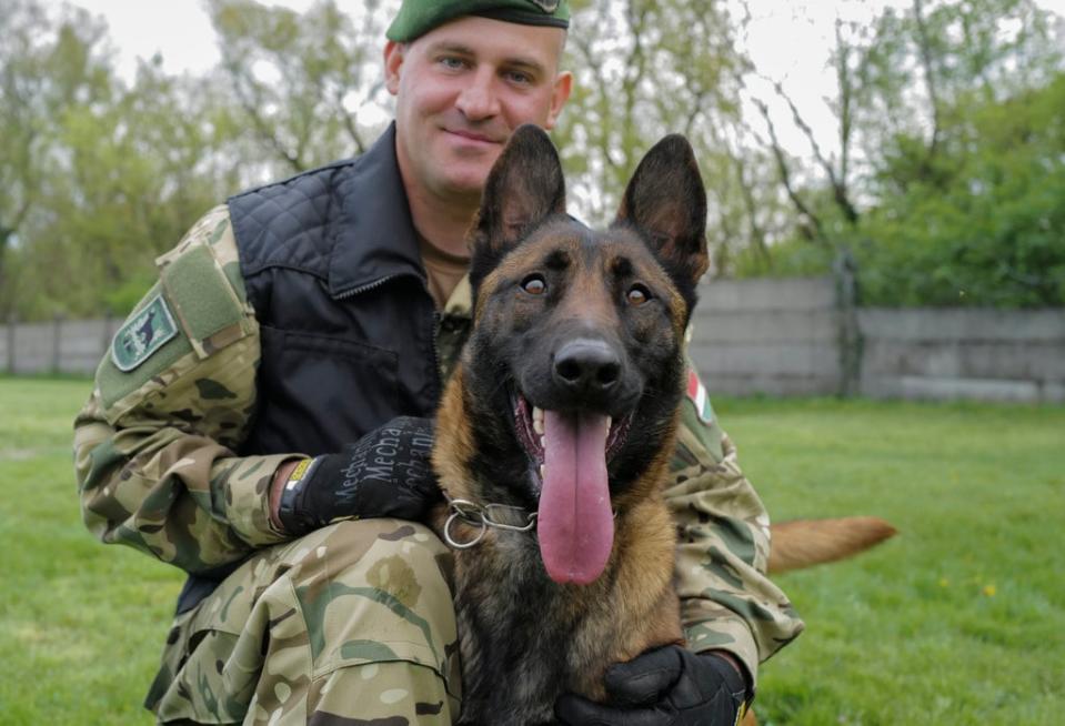 Hungary Bomb Dog (Copyright 2022 The Associated Press. All rights reserved.)