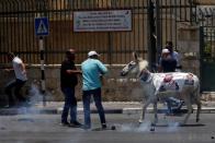 Palestinian demonstrators react to tear gas fired by Israeli forces as they pull a donkey bearing a crossed-out poster depicting Saudi Arabia's Crown Prince Mohammed bin Salman during a protest in Bethlehem, in the Israeli-occupied West Bank