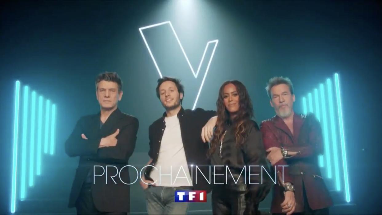 © Capture d'écran TF1