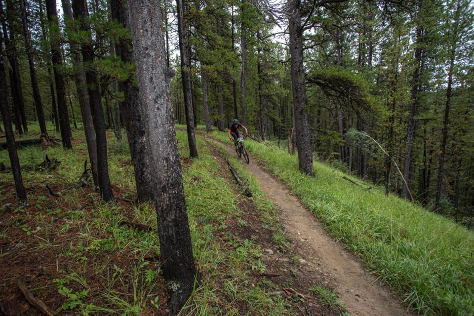 Outdoor lovers and environmental groups are pushing back against Spray Lakes Sawmills' logging plans in a bid to save popular hiking and cycling trails near Bragg Creek.