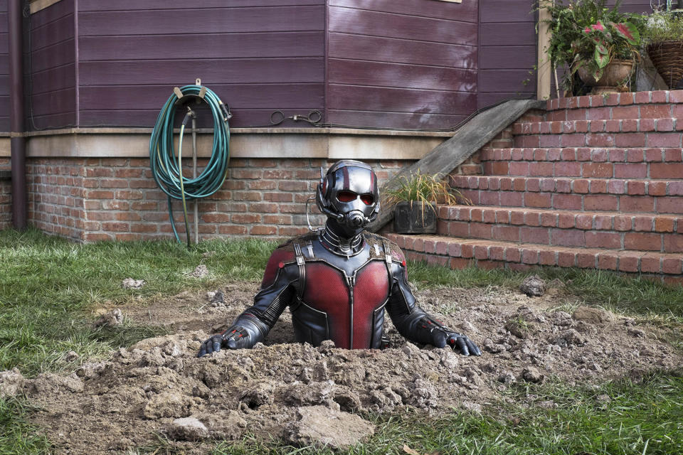 As its least noble superhero, Paul Rudd’s Ant-Man brings warmth and pathos to the Marvel universe. | Marvel/Disney