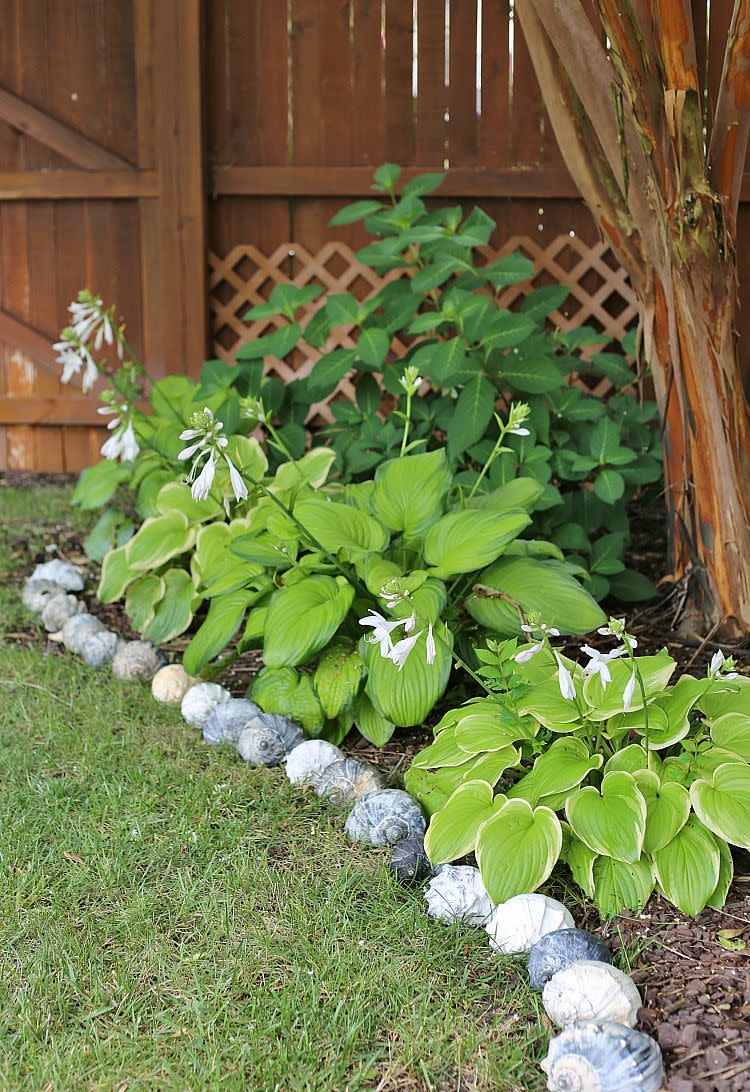 garden edging ideas shells