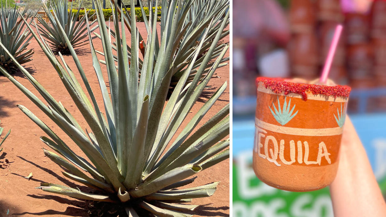 In Mexico, José Cuervo is doing more than just making tequila. The brand is also using byproducts from the tequila-making process to create sustainable homes. (Photos: Josie Maida)