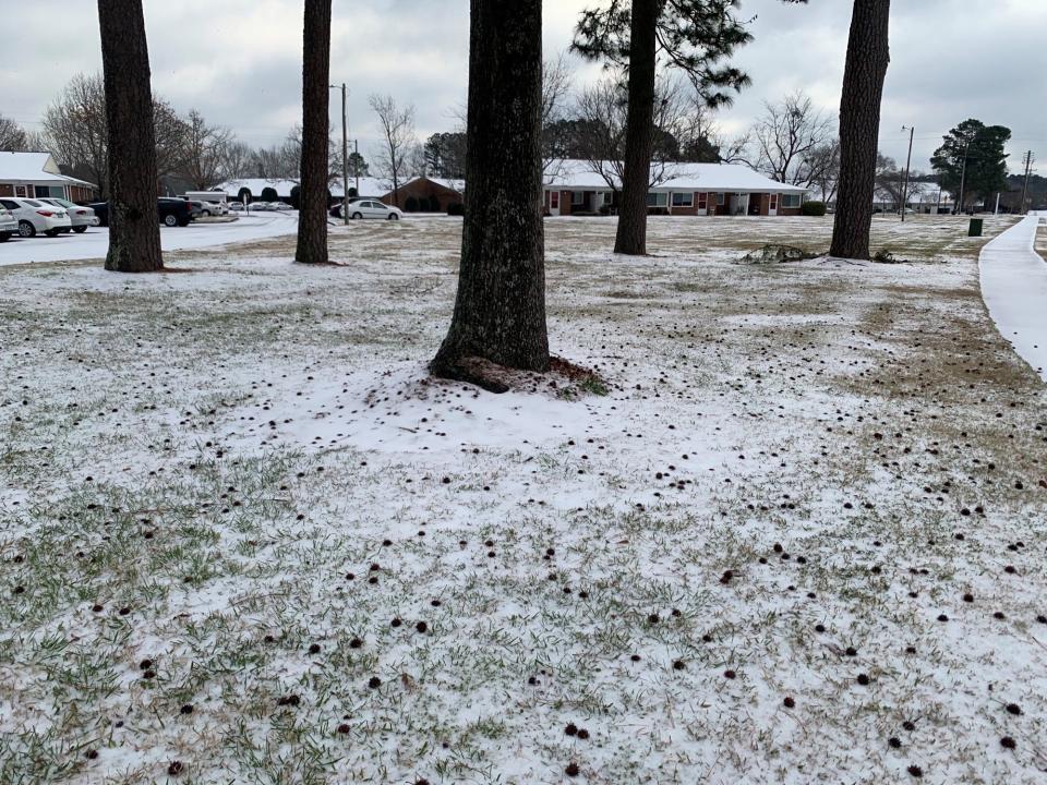 About 1/4 an inch of snow fell in New Bern seen on Saturday morning.