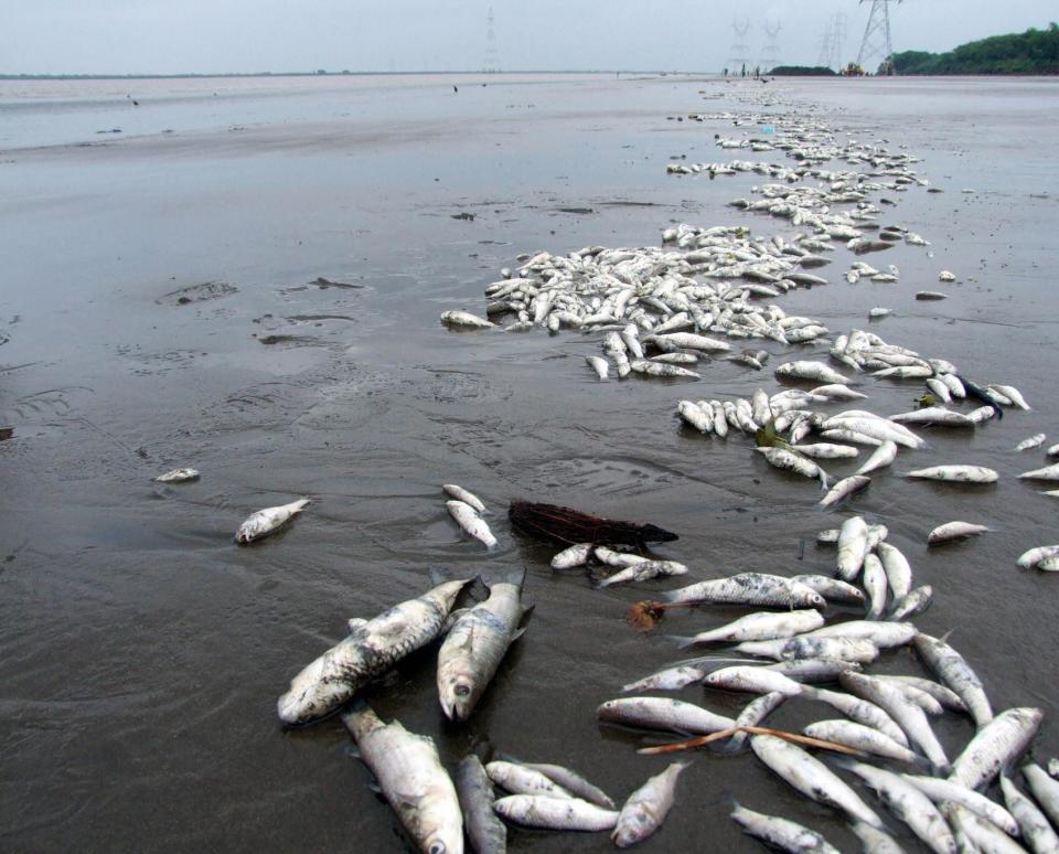 Dumas Beach, India