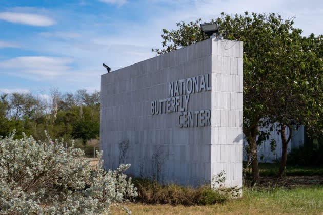 TexasButterflySanctuary TexasButterflySanctuary.jpg - Credit: Alamy Stock Photo