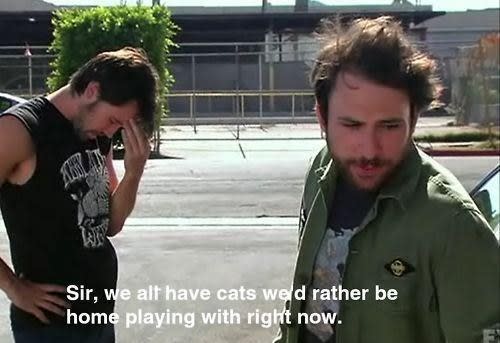 cat man, charlie kelly