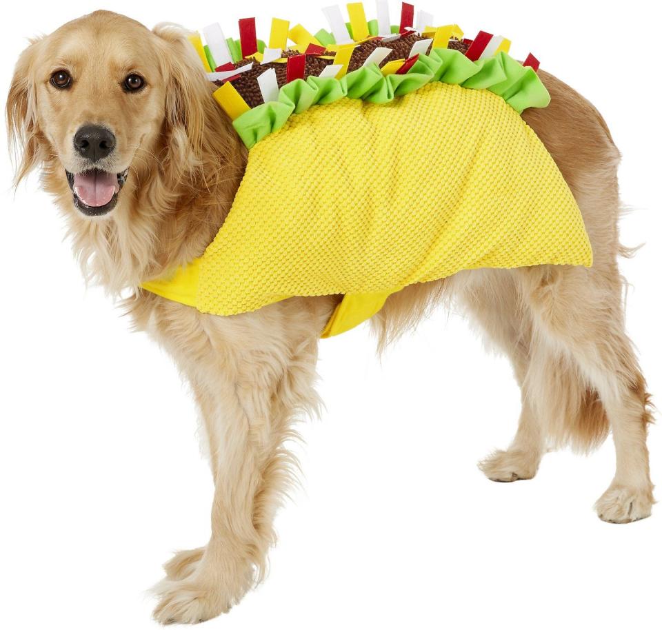 Frisco Taco Dog & Cat Costume