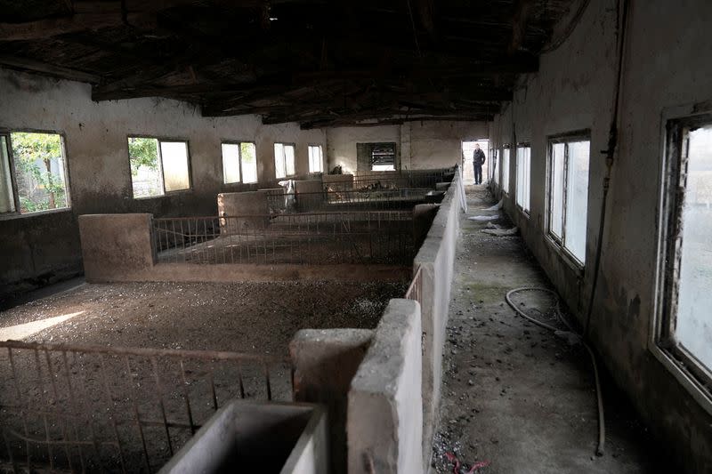 An inner view shows a pigpen at a village in Henan province