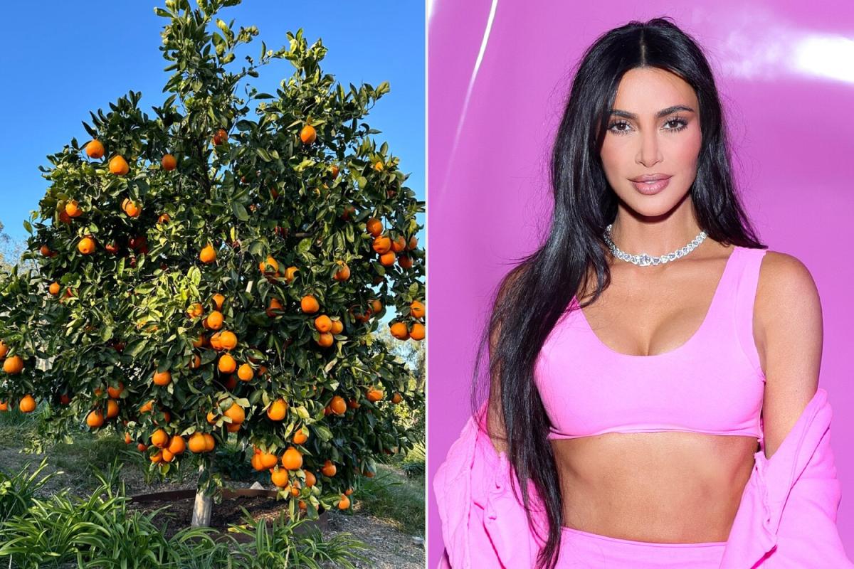 Kim Kardashian Gives Personal Tour of Her Lush Los Angeles Garden