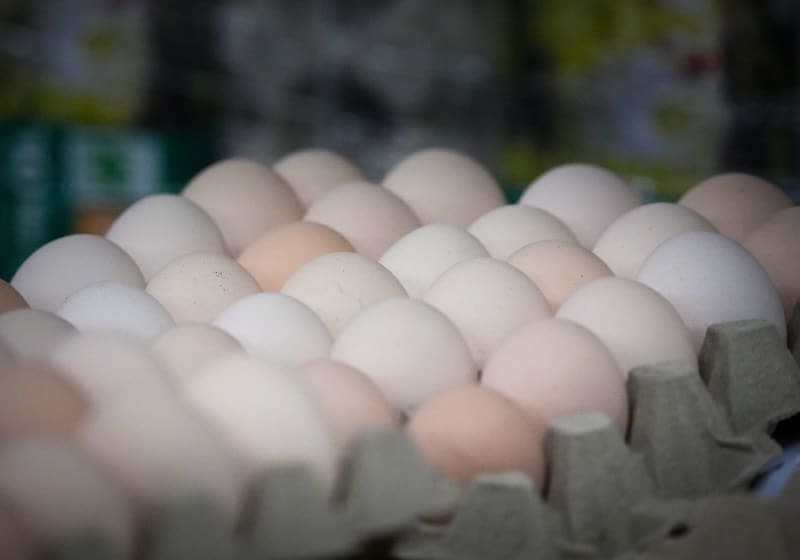 Unstamped white eggs lie in the packing hall. German chicken farmers are switching over to white hens in growing numbers, meaning that the brown eggs long familiar to German consumers could disappear from supermarket shelves in the coming years. Soeren Stache/dpa