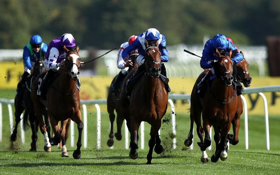 Humanitarian ridden by James Doyle (C) wins the Dubai Duty Free Handicap at Newbury Racecourse on September 18, 2020 in Newbury, England - Marlborough racing tips and best bets for Saturday, September 19 - GETTY IMAGES