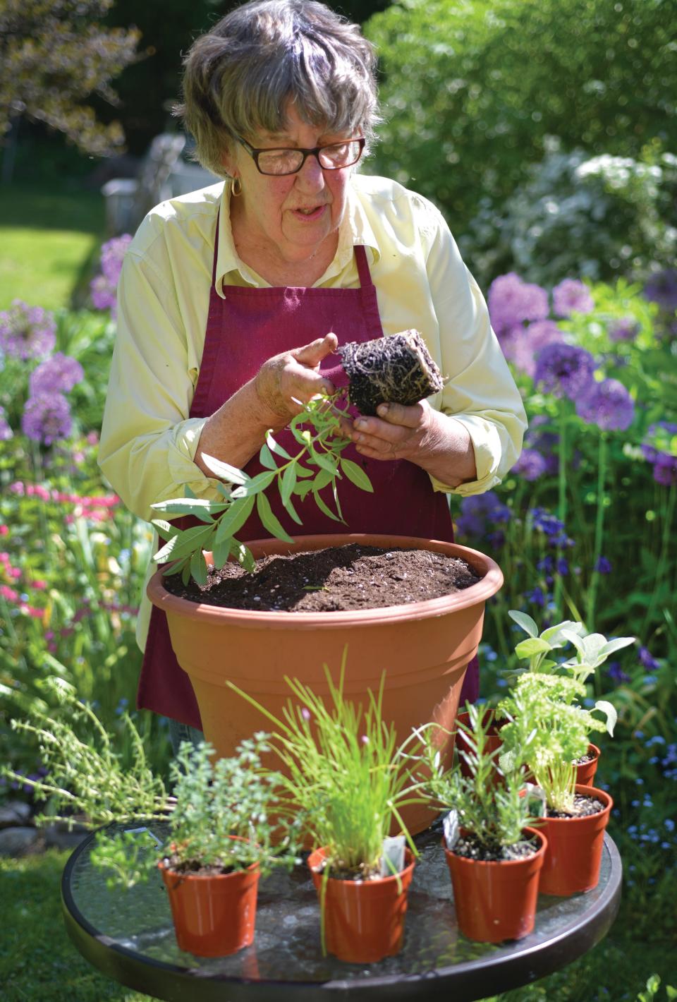 Get hands-on experience designing outdoor containers and flower beds Saturday at Boone County Arboretum.