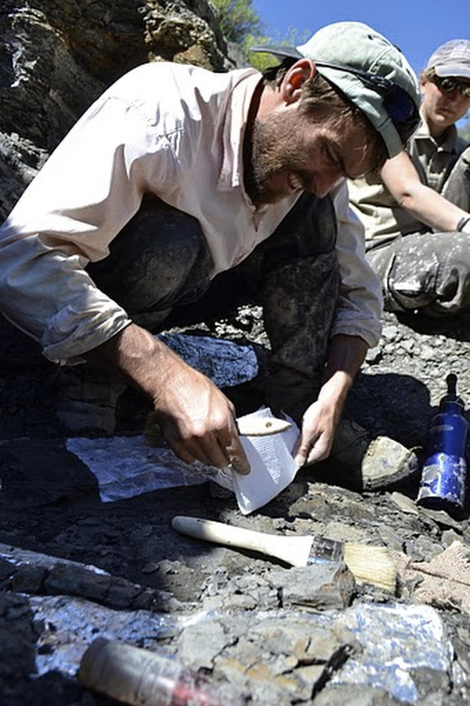 This July 14, 2011 provided by the U.S. Fish and Wildlife Services, an experts on marine reptiles, Pat Druckenmiller works carefully to prepare the plesiosaur skull for its plaster jacket at the Charles M. Russell National Wildlife Refuge, Mont. at a dig site for a fossil found in Montana nearly seven years ago that has led to the discovery this new species of prehistoric sea creature. The new species of elasmosaur is detailed in an article published Thursday, April 13, 2017, in the Journal of Vertebrate Paleontology. The creature lived about 70 million years ago in the inland sea that flowed east of the Rocky Mountains from Canada to the Gulf of Mexico. (Marcus Hockett /U.S. Fish and Wildlife Services via AP)