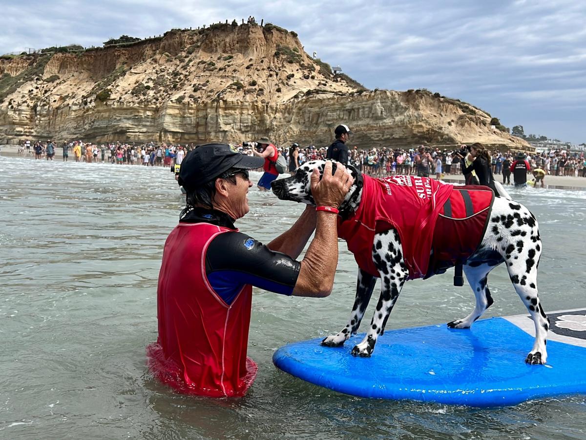 My son and I went to see dogs surf in San Diego. The pups actually smile, and we had a great time.