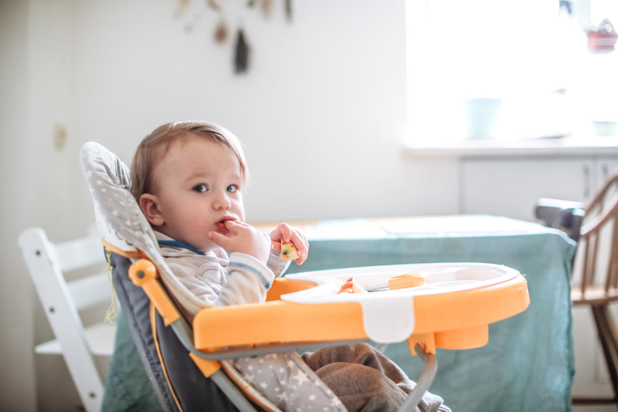 Independent Toddler Eating in High Chair from Silicone Plate Using Hands at Home in the Kitchen.