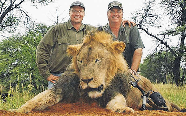 帕爾默（左）亦曾獵殺另一隻獅子。