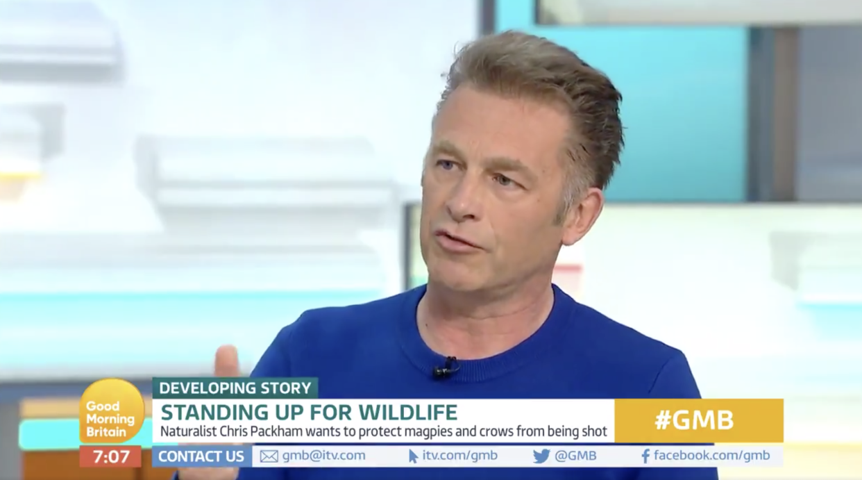 Chris Packham told GMB that he and his family have received death threats (ITV)