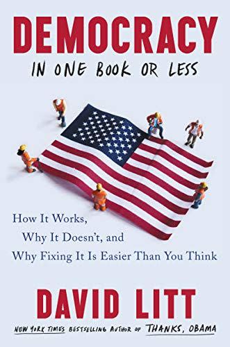 2) Democracy in One Book or Less by David Litt