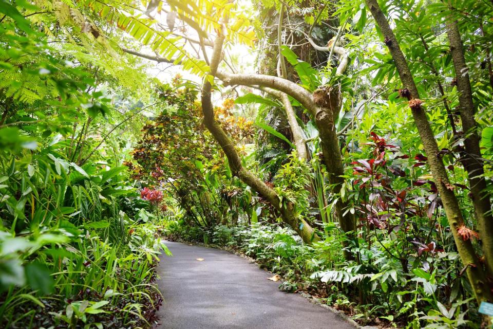 <p>Keen botanists will adore this tropical garden that's home to 2,000 plant species, and century-old coconut and mango palm trees. Opened in 1984 by owner Dan J. Lutkenhouse, it's since been sold to a non-profit trust for the public to enjoy. Not only is it beautiful, it's situated on the Pacific Coast, and a virtual walk through its jungle canopies gives us a little taste of paradise that's always much appreciated.</p><p><a class="link " href="https://www.youtube.com/watch?v=BtZ0dcUzGX8" rel="nofollow noopener" target="_blank" data-ylk="slk:Take a virtual tour;elm:context_link;itc:0;sec:content-canvas">Take a virtual tour</a></p>