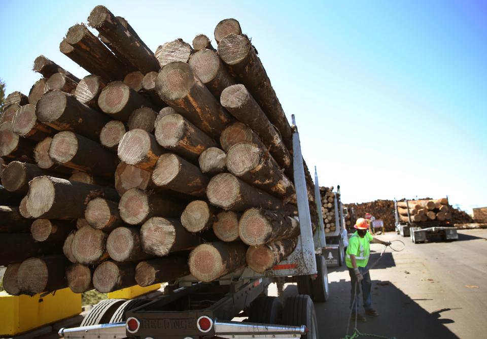 Lyle Pitley with Schuyler & Sons Inc. takes the cable wraps off a load of fire salvage timber at the Seneca Sawmill Co. in Eugene.