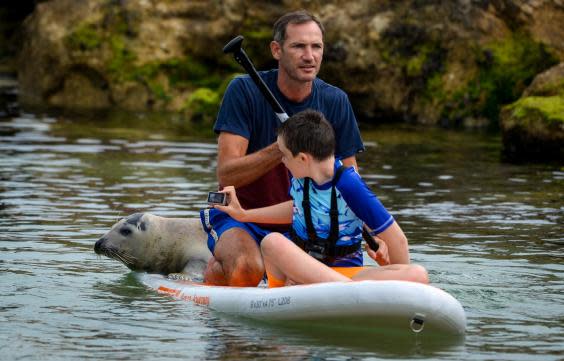 Sammy hitches another ride (Getty)