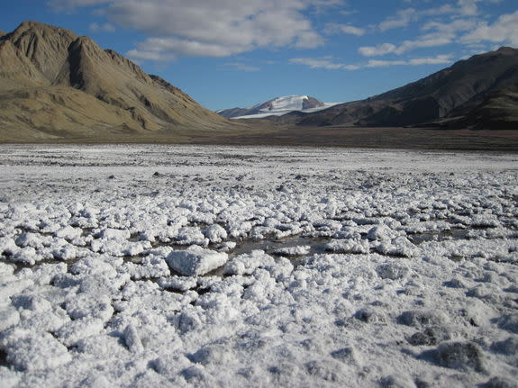 An Arctic spring site on Axel Heiberg Island in Canada's north. Scientists suggests similar active springs could be found on Mars.