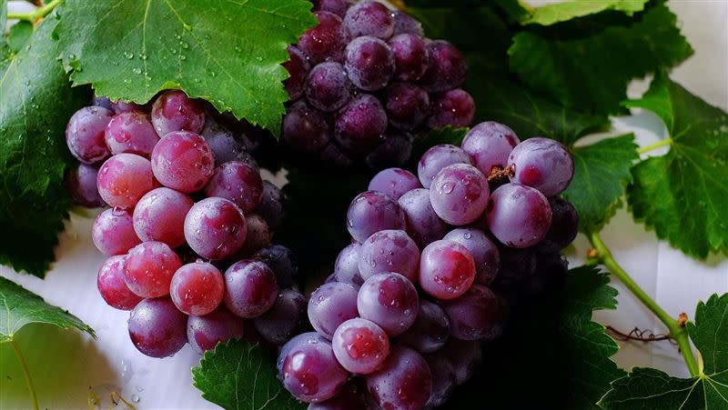 葡萄富含對人體有益的營養。（示意圖／翻攝自pexels）