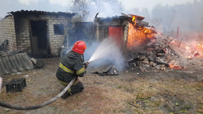 Forest fire in Luhansk region