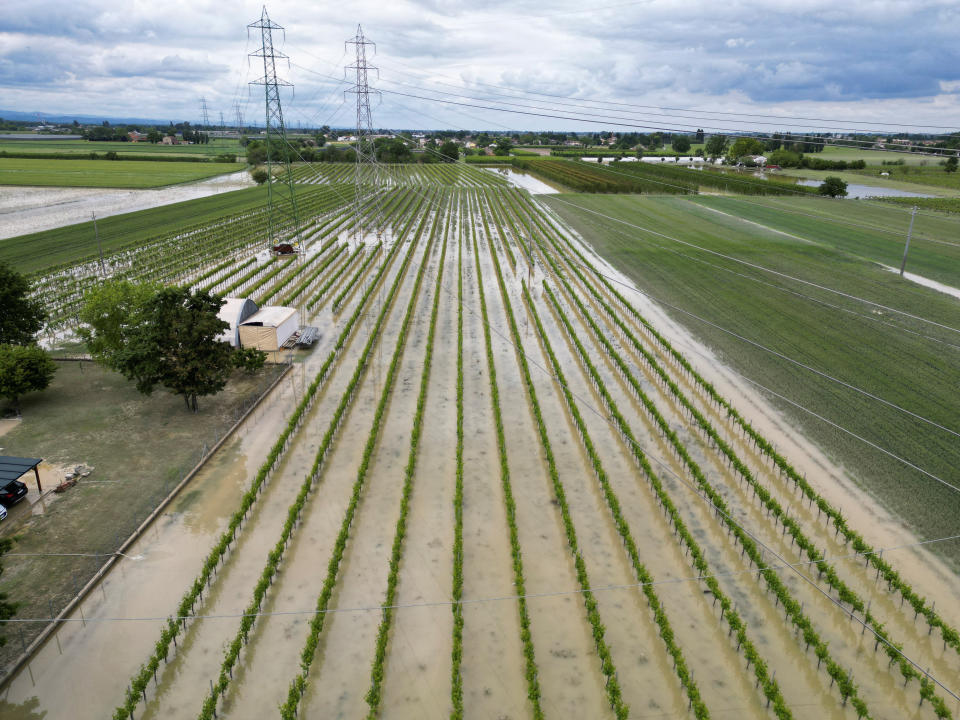 A vineyard is flooded after heavy rains hit Italy's Emilia Romagna region. (Reuters)