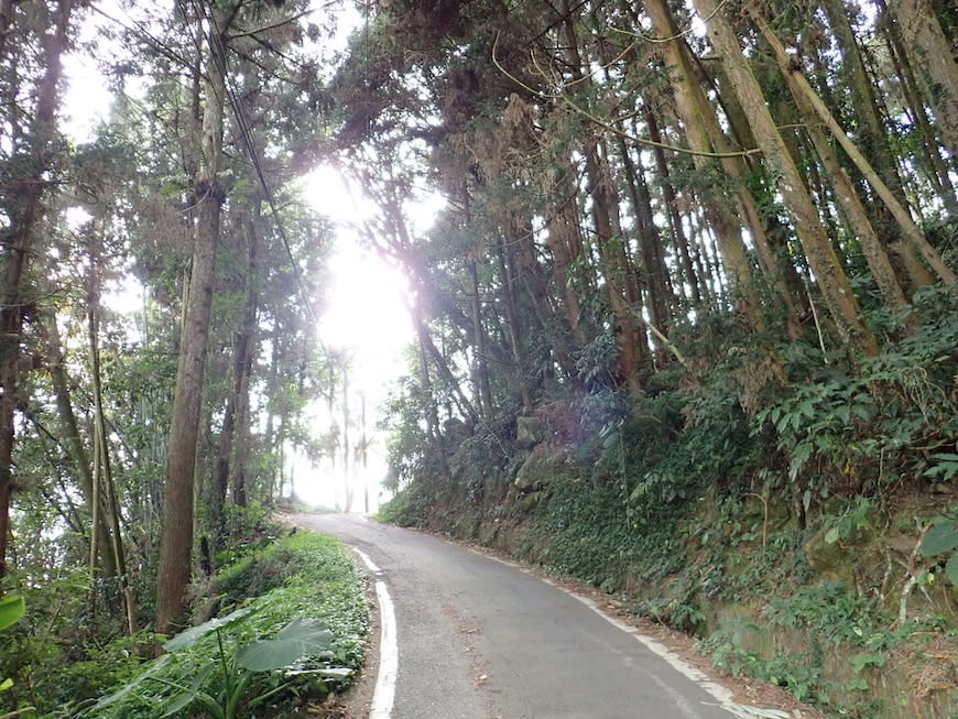 嘉義大風埕觀日峰＋油車寮步道