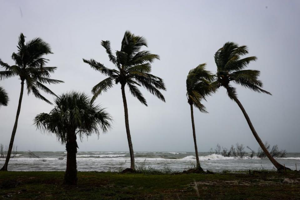 Palm trees sway in the wind at Fort Myers Beach ahead of Hurricane Idalia on Tuesday.