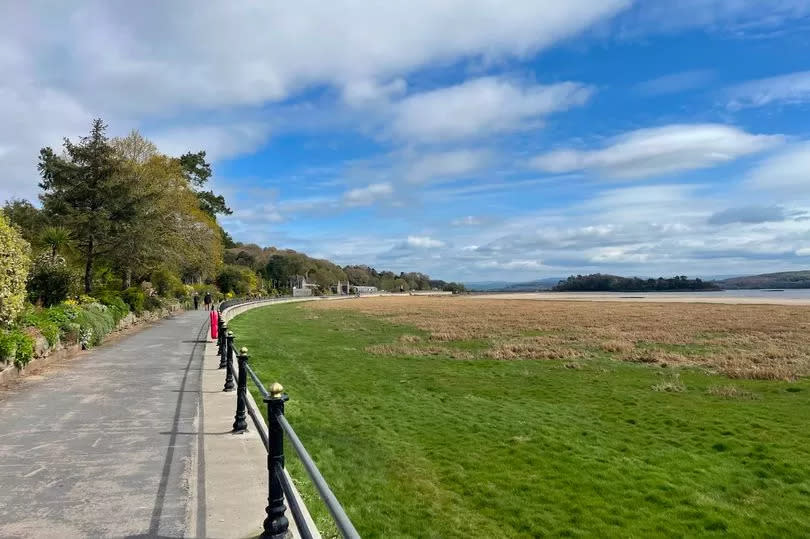 The promenade next to the marshland