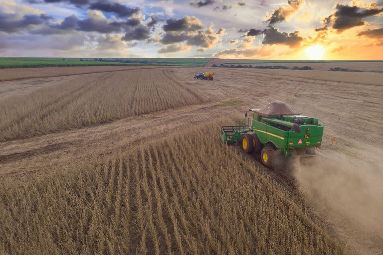 Agricultural tractor harvesting soybeans in the field in sunset - Pederneiras-Sao Paulo-Brasil - 03-20-2021