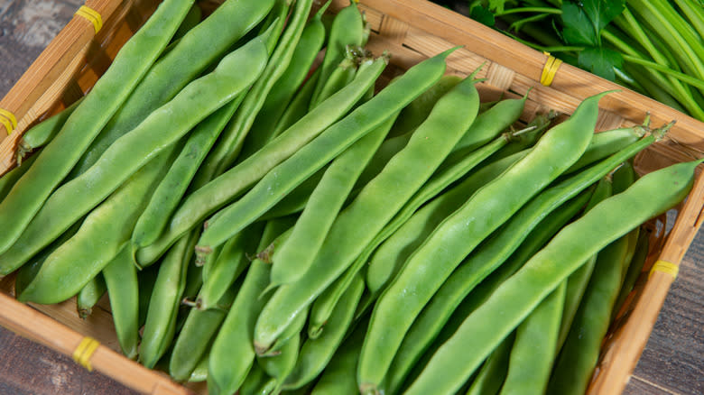 flat green beans in basket