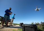 Marine biologists from Cal State Lone Beach Shark Lab study sharks along the California coast