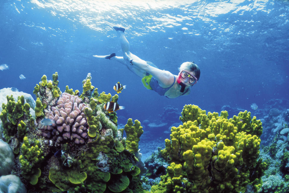 This November, 2002 photo provided by Queensland Tourism, a diver snorkels in the Great Barrier Reef off Australia's Queensland state. Australia announced Thursday, June 14, 2012, the creation of the world's largest network of marine reserves covering 3.1 million square kilometers (1.2 million square miles) of ocean including the entire Coral Sea. Environment Minister Tony Burke said the government expects to pay an estimated 100 million Australian dollars ($100 million) to the fishing industry in compensation for the new restrictions on their operations that will take effect late this year. (AP Photo/Queensland Tourism) EDITORIAL USE ONLY