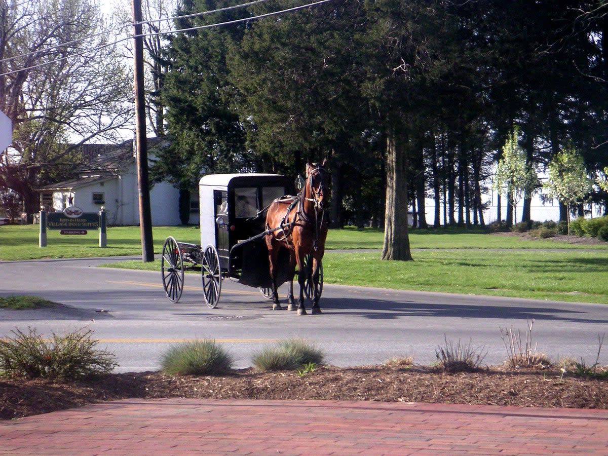 The four siblings were travelling as passengers in an Amish buggy when the crash happened (Wikimedia Commons)