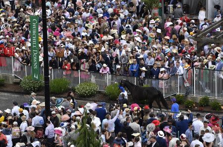 May 6, 2017; Louisville , KY, USA; Horses are led out through the paddock area for early races prior to the 2017 Kentucky Derby at Churchill Downs. Mandatory Credit: Jamie Rhodes-USA TODAY Sports