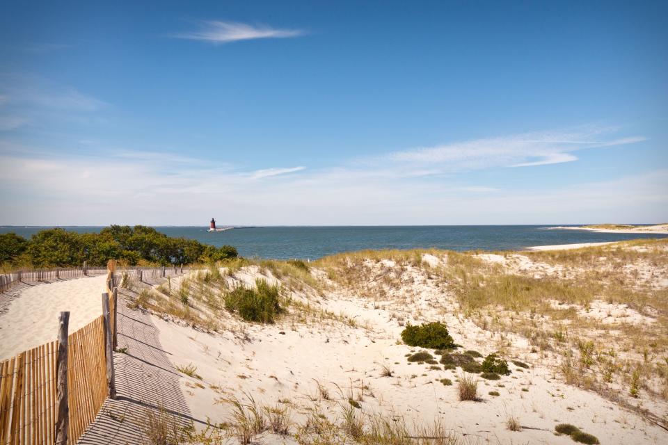 Cape Henlopen State Park, Lewes