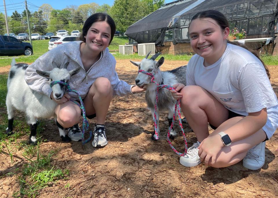 Rae McNeer and Bella Bingham wrangle goats Ebbie and Jewel.