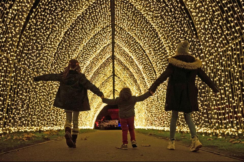 The Cathedral of Light at the Royal Botanic Gardens in Kew, London in 2020 (Andrew Matthews/PA Wire)